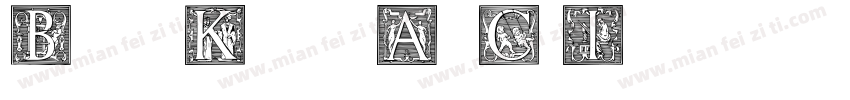 BastionKontrastAltC Italic字体转换